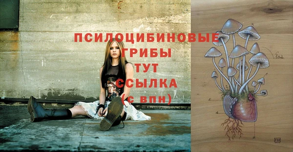 ешки Абаза