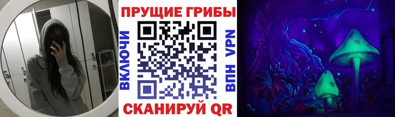 Галлюциногенные грибы MAGIC MUSHROOMS OMG ТОР Тайга